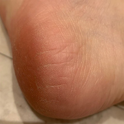 f:id:mix-twin:20190624220823j:plain f:id:mix-twin:20190624220823j:plain