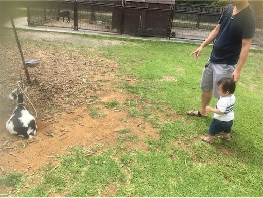 f:id:mix-twin:20190712131102j:plain f:id:mix-twin:20190712131102j:plain