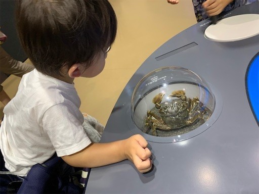 f:id:mix-twin:20190722151808j:plain f:id:mix-twin:20190722151808j:plain