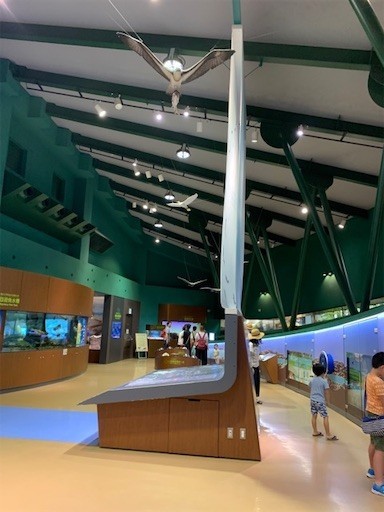 f:id:mix-twin:20190722151854j:plain f:id:mix-twin:20190722151854j:plain