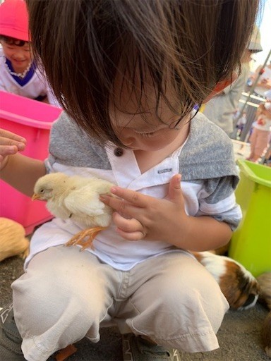 f:id:mix-twin:20190919122319j:plain f:id:mix-twin:20190919122319j:plain
