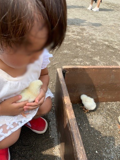f:id:mix-twin:20190919122337j:plain f:id:mix-twin:20190919122337j:plain