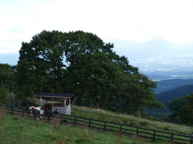 f:id:mixgohan:20110918154435j:image f:id:mixgohan:20110918154435j:image