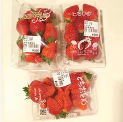f:id:mixirio:20190220115303j:plain