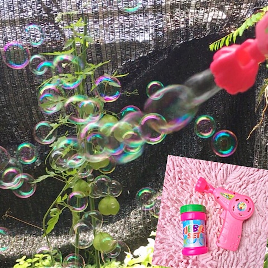 f:id:mixirio:20190728111757j:image