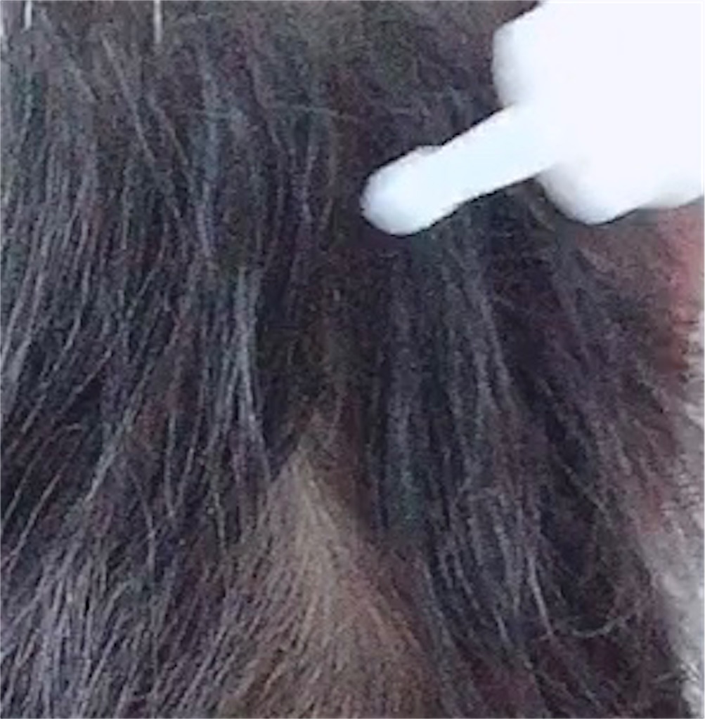f:id:mixirio:20201112173344j:image