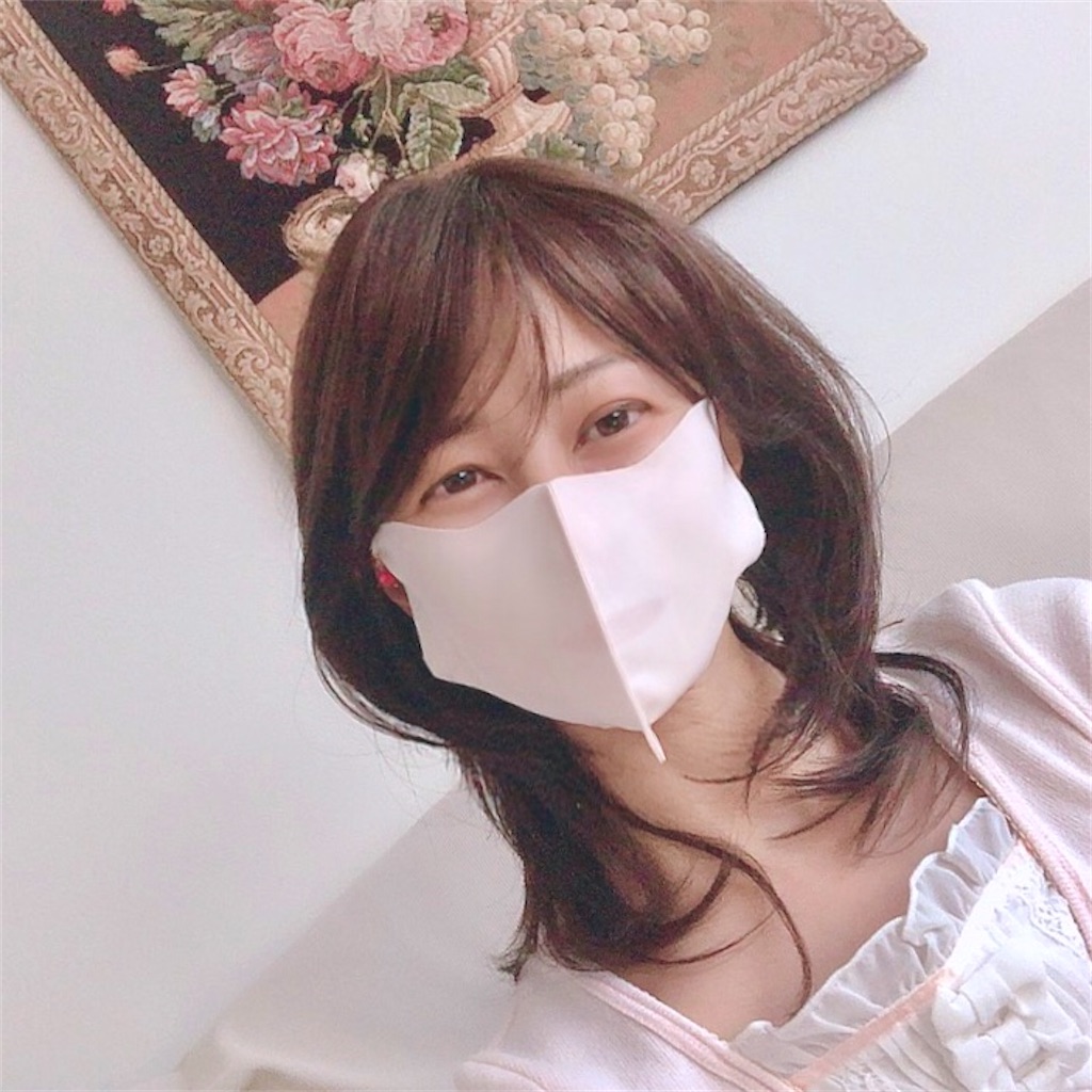 f:id:mixirio:20201130220155j:image f:id:mixirio:20201130220155j:image