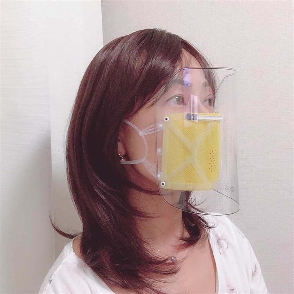 f:id:mixirio:20210824131639j:image