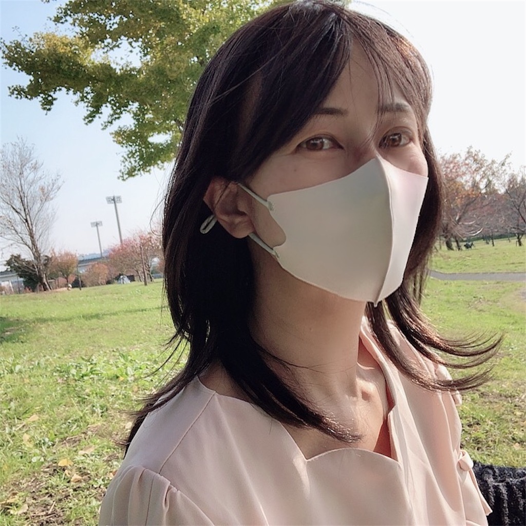 f:id:mixirio:20211123230524j:image