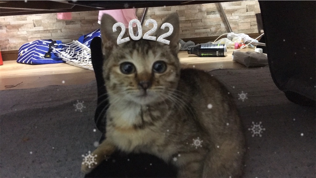 f:id:mixirio:20220215204608j:image f:id:mixirio:20220215204608j:image