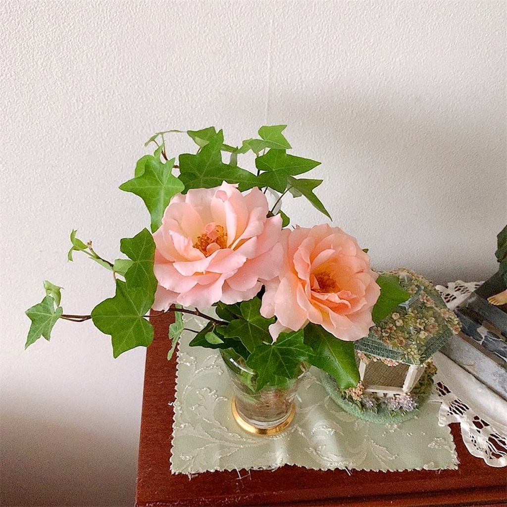 f:id:mixirio:20230615113819j:image