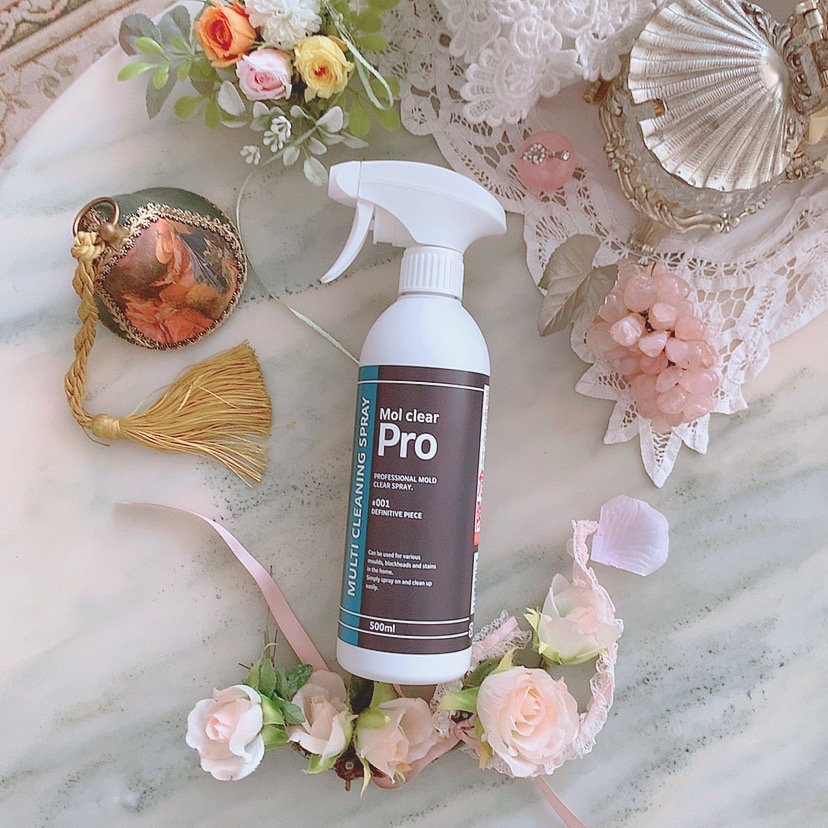 Mol clear Pro 480ml モルクリアプロ カビ取り モルクリアプロ】超強力