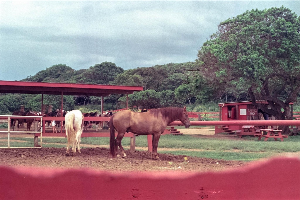 f:id:mixologist2828:20230913234655j:image