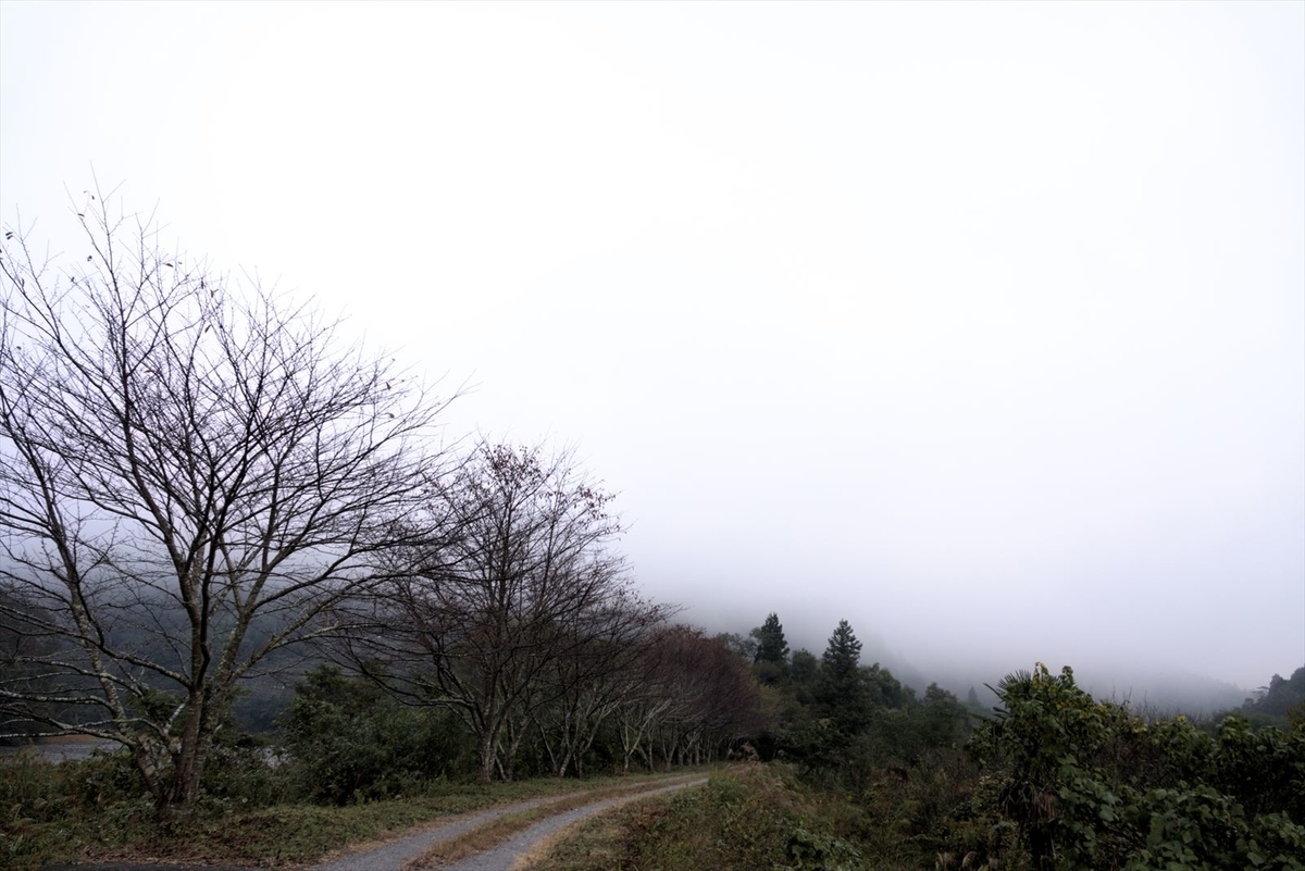 f:id:mixsato:20191113210847j:plain f:id:mixsato:20191113210847j:plain