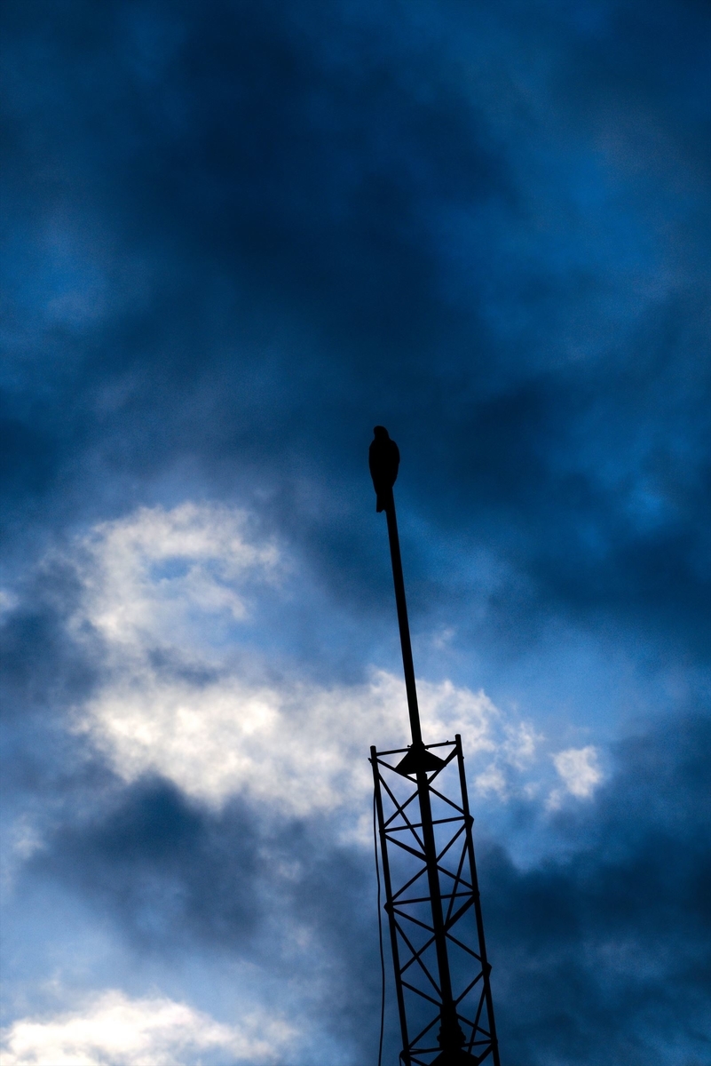 f:id:mixsato:20191205195438j:plain f:id:mixsato:20191205195438j:plain