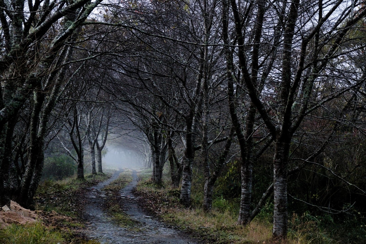 f:id:mixsato:20191210200939j:plain f:id:mixsato:20191210200939j:plain