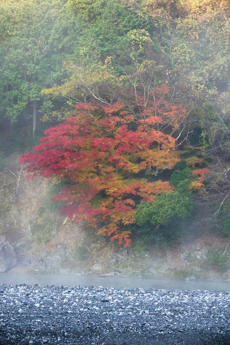 f:id:mixsato:20191210200959j:plain f:id:mixsato:20191210200959j:plain