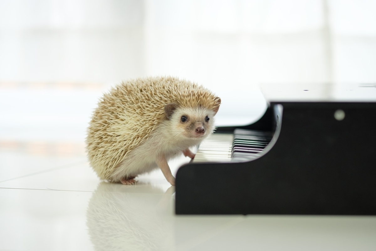 f:id:mixtwinsmama:20200122200813j:plain