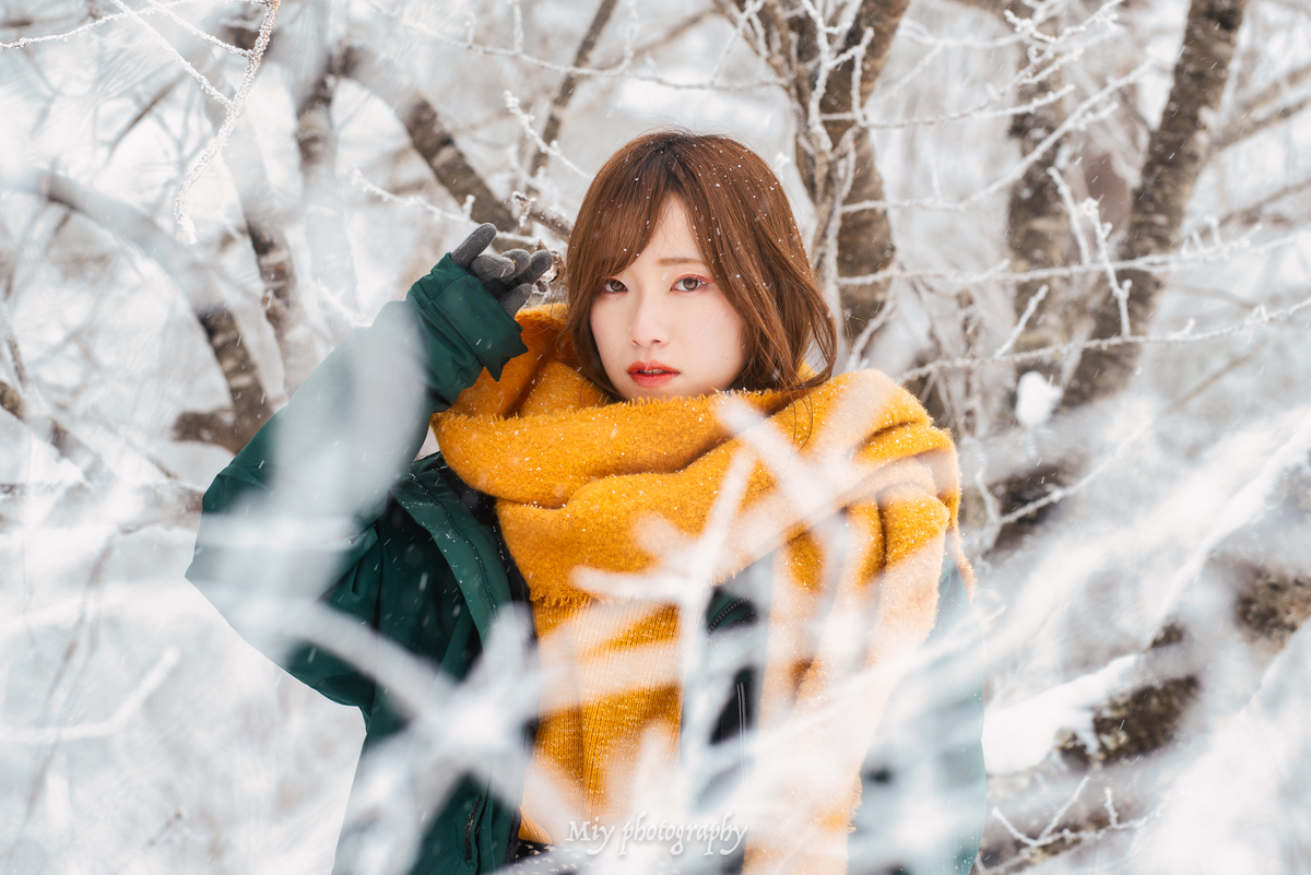 f:id:miy_hopsos:20210429174408j:plain