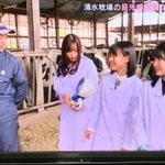 f:id:miya-koharu:20190418050231j:image