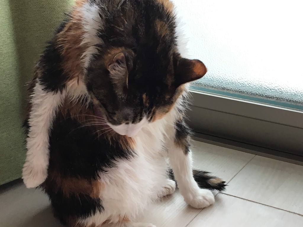 f:id:miya-lapine:20180910101010j:plain