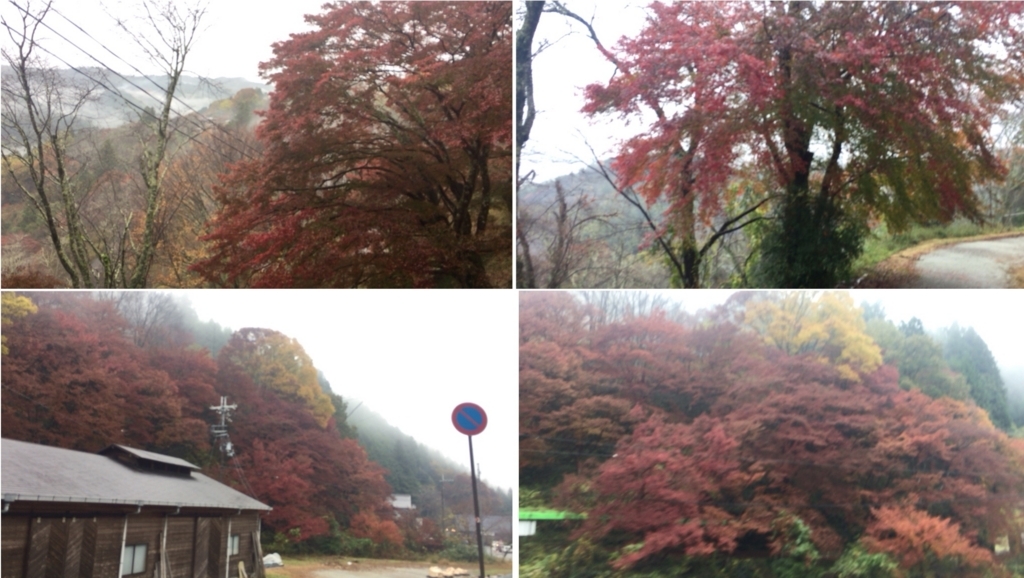 f:id:miya1107:20171119143419j:plain f:id:miya1107:20171119143419j:plain