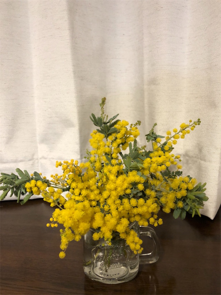ミモザの季節 Life Works Itself Out