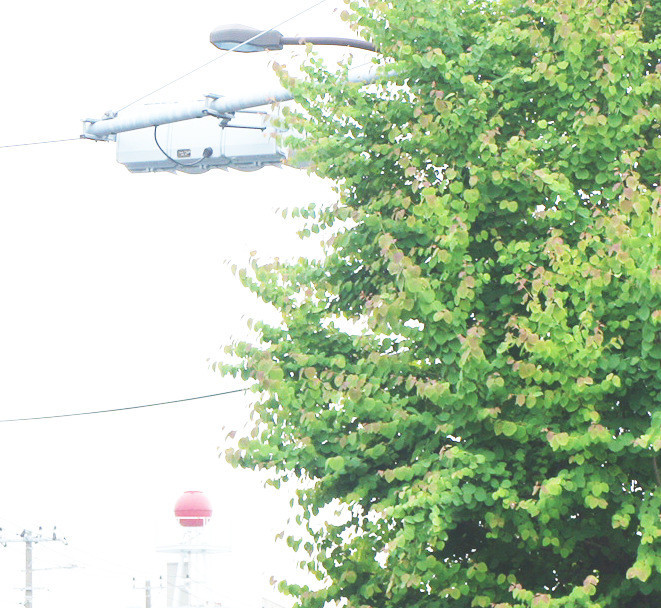 f:id:miya_ma:20200521221039j:plain f:id:miya_ma:20200521221039j:plain