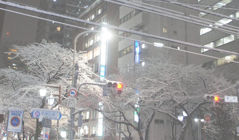 f:id:miya_ma:20220106191250j:plain