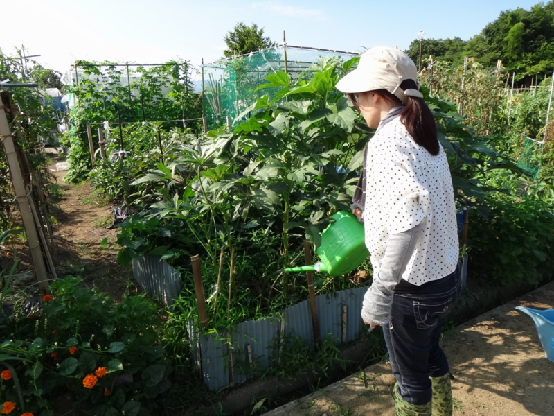 f:id:miya_tomac:20160731093118j:plain f:id:miya_tomac:20160731093118j:plain