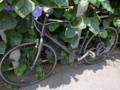 20100725104404