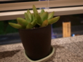 20100728194518