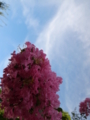 20100807165425