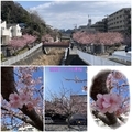 20260222213614
