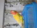 20100324193200