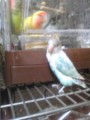 20100403214700