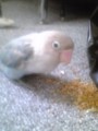 20100410171300