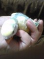 20100421215200