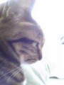 20100424161600