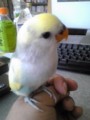 20100503102500