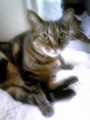 20110418161600