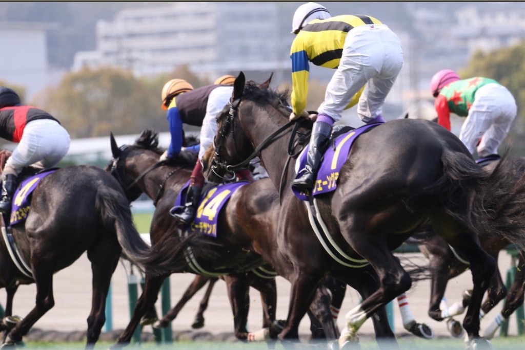 マーメイドステークス2020 自分じゃ買えない馬を探すしかない ...