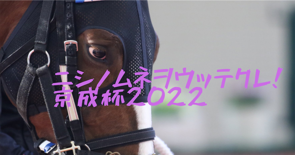 f:id:miyabi11kid:20220114181348p:image f:id:miyabi11kid:20220114181348p:image