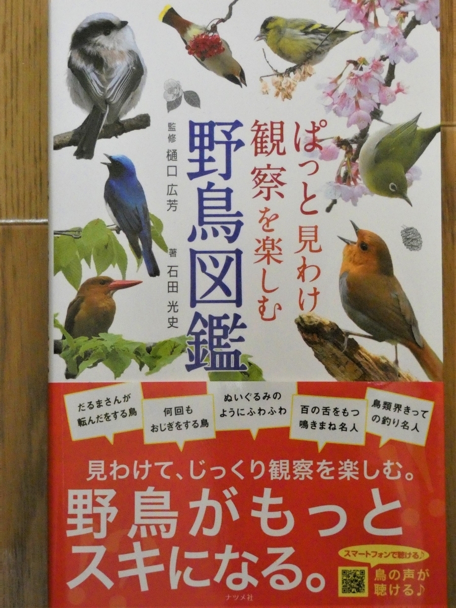 f:id:miyabi1958:20211119110616j:plain