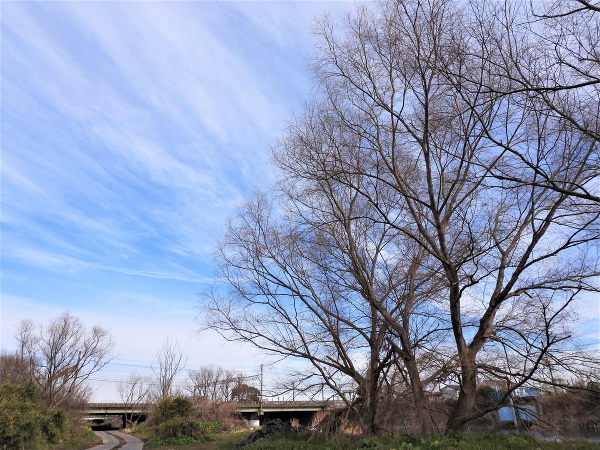 f:id:miyabi1958:20220124112257j:plain