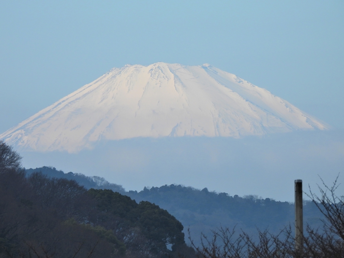 f:id:miyabi1958:20220127113951j:plain