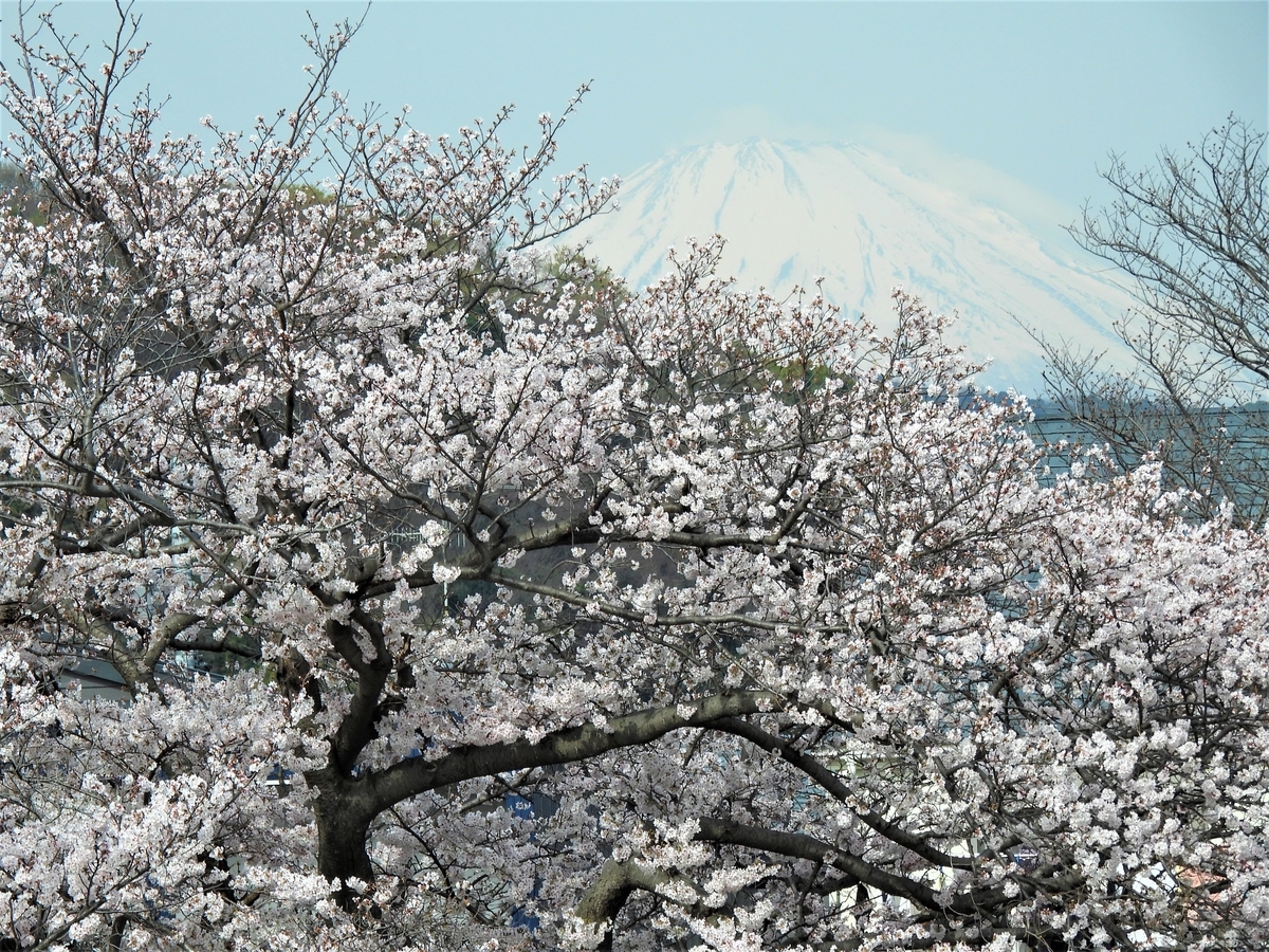f:id:miyabi1958:20220331111138j:plain
