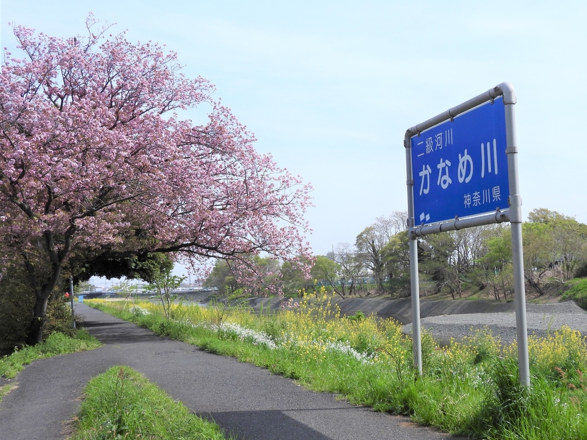 f:id:miyabi1958:20220413105847j:plain