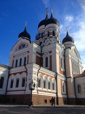 IMG_1073.jpg