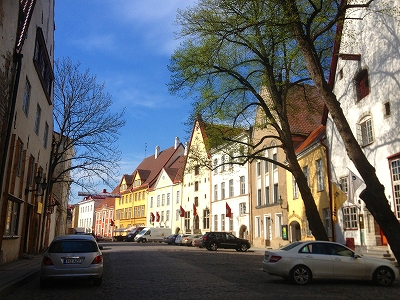 IMG_1109.jpg
